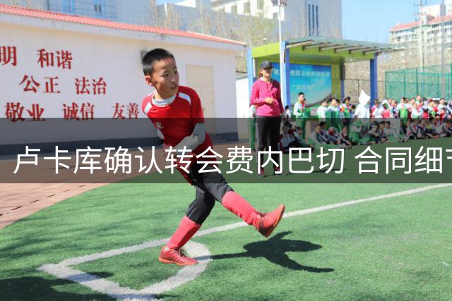 卢卡库确认转会费内巴切 合同细节曝光